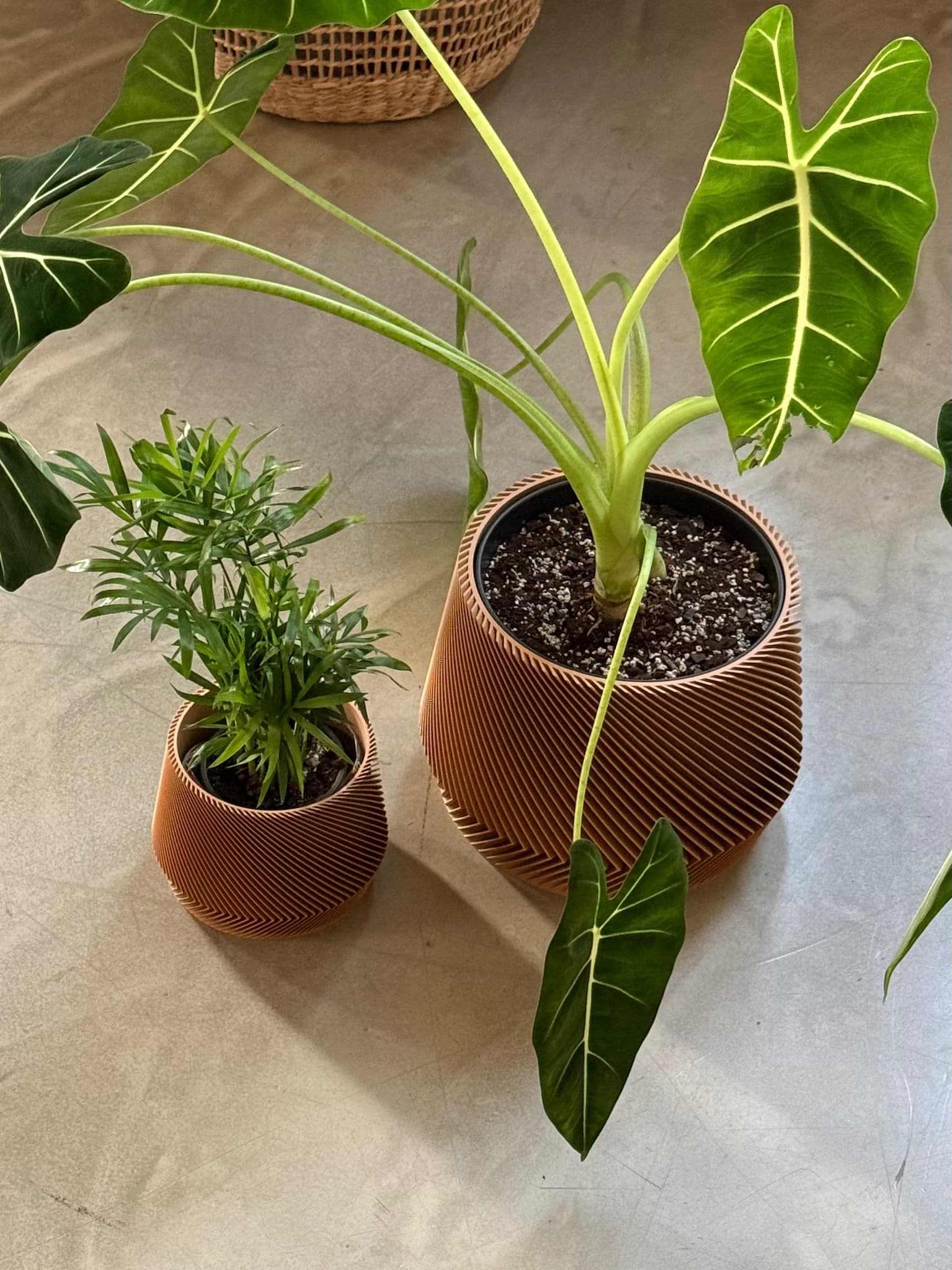 Květináč pro pokojové rostliny Giro