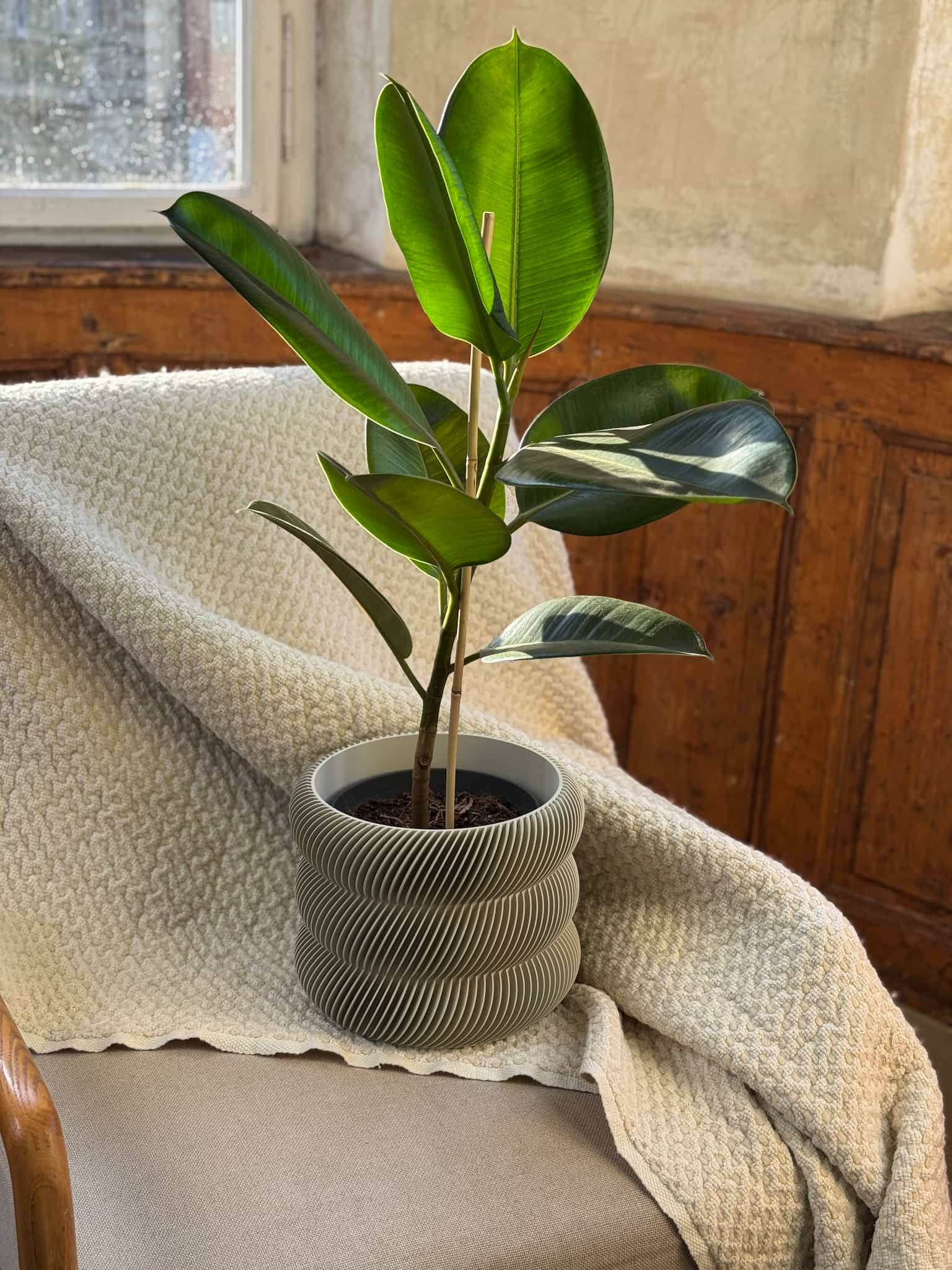 Flowerpot for indoor plants Ondas