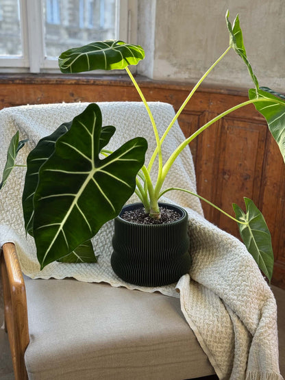 Aire indoor plant pot