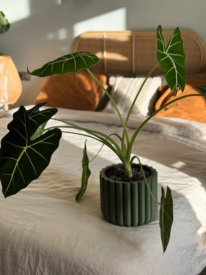 Květináč pro pokojové rostliny Forest Column