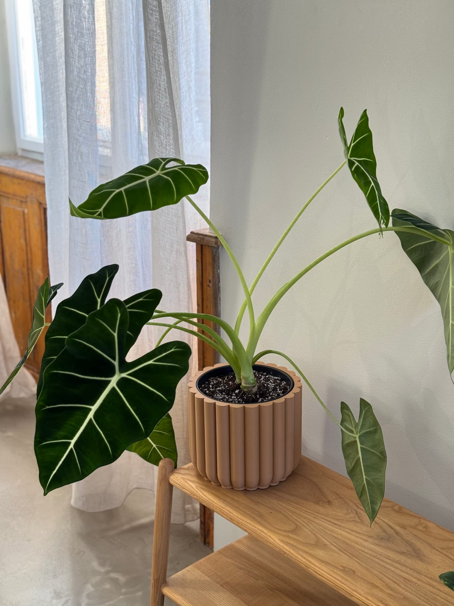 Květináč pro pokojové rostliny Forest Column