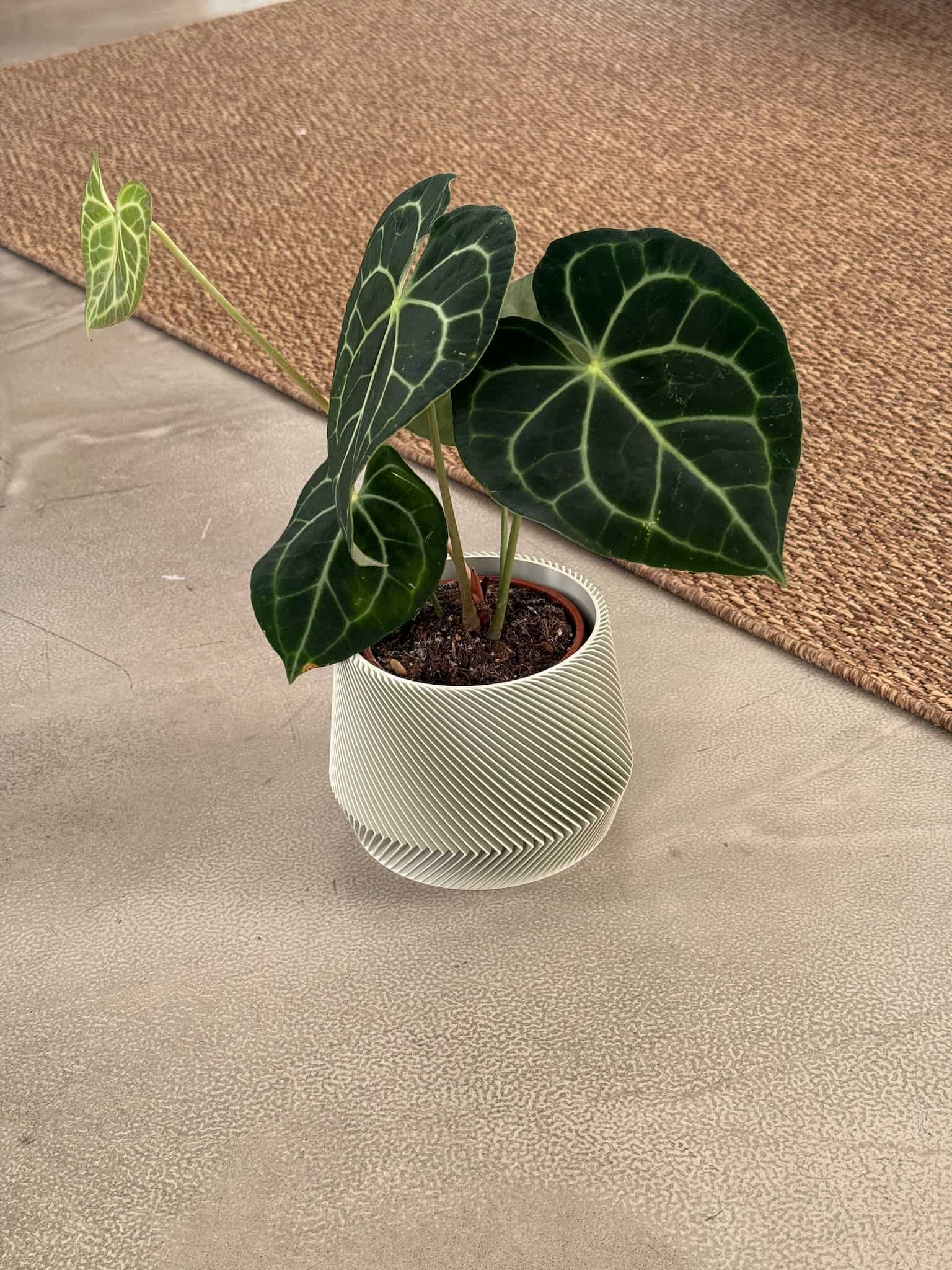 Giro indoor plant pot