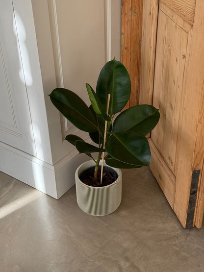 Flowerpot for indoor plants Leve