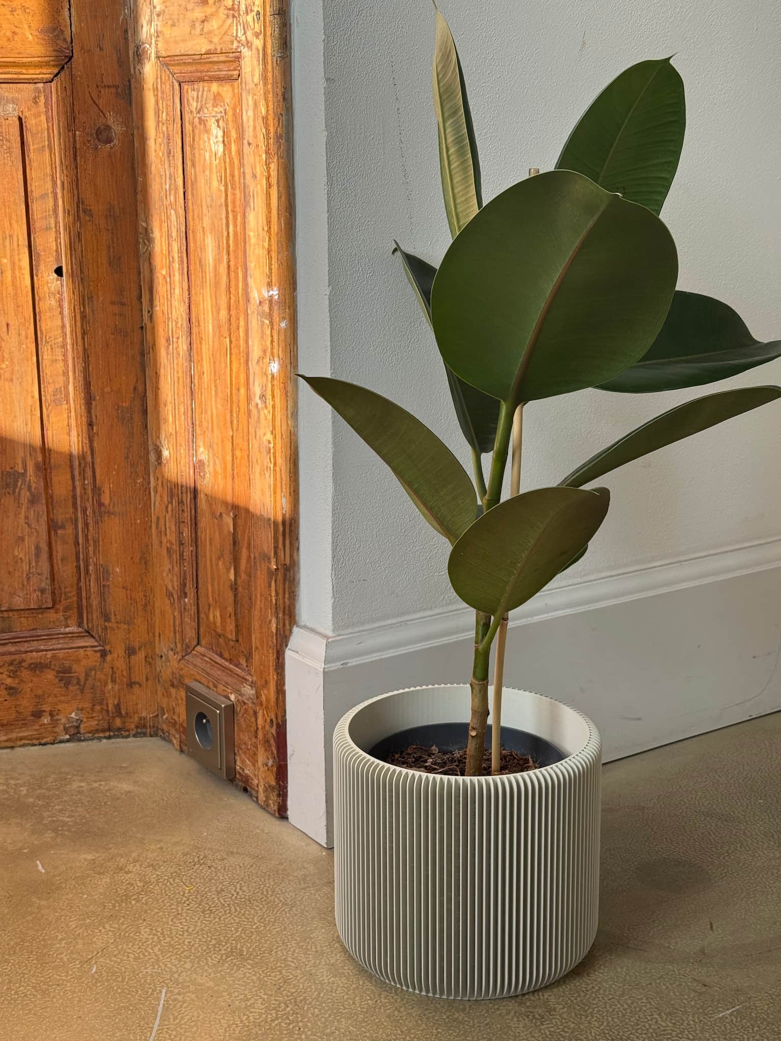 Flowerpot for indoor plants Leve