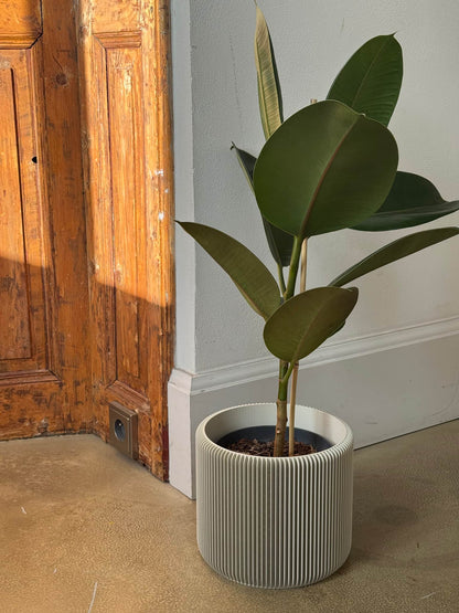 Flowerpot for indoor plants Leve
