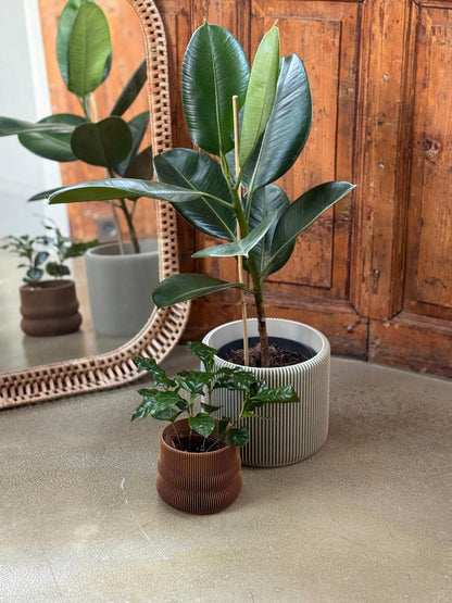 Flowerpot for indoor plants Leve